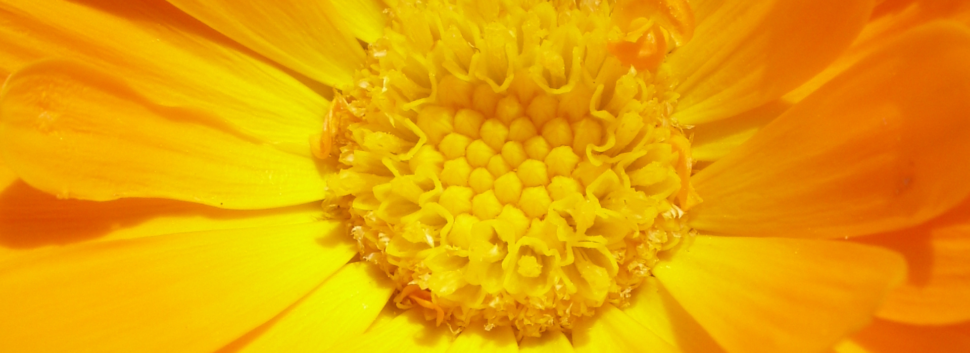 MEMBERSHIPS & PACKAGE PRICING