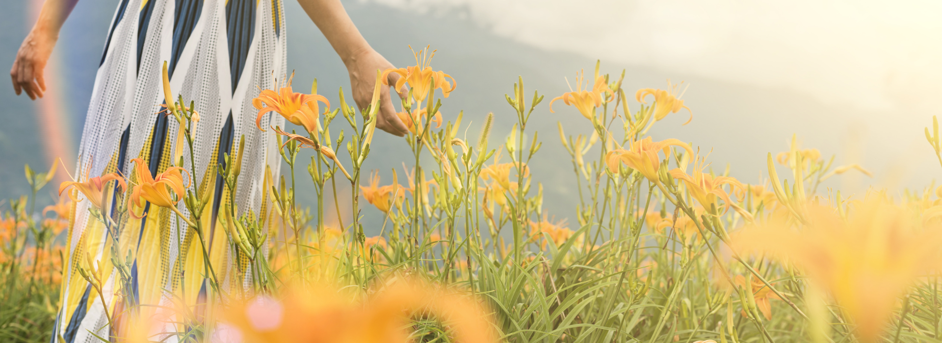 RADICAL REJUVENATION